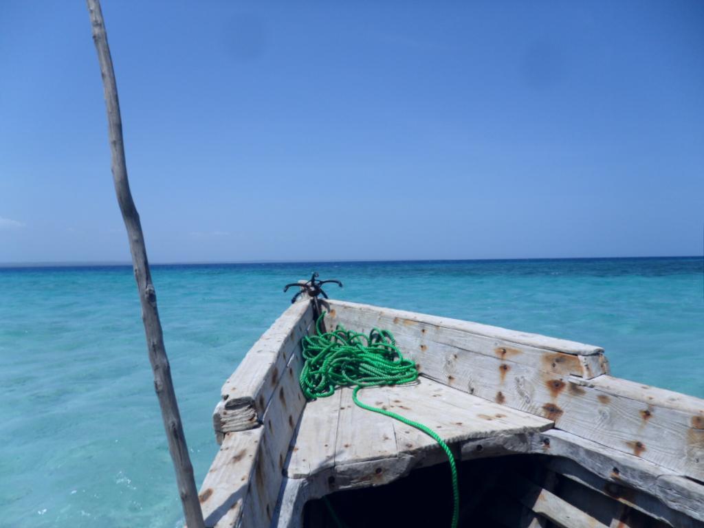 The Beach Crab Resort Pangani Extérieur photo