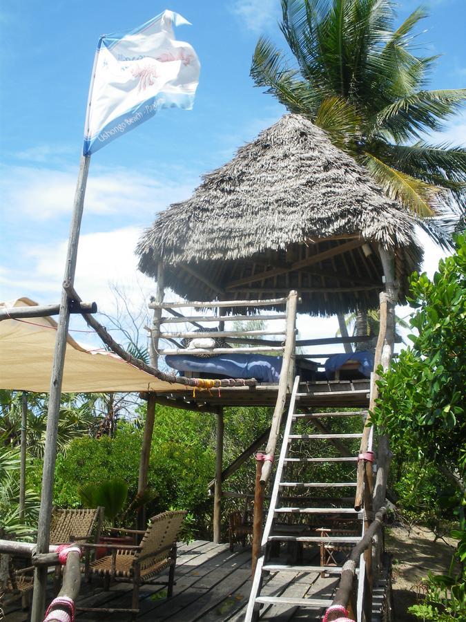 The Beach Crab Resort Pangani Extérieur photo