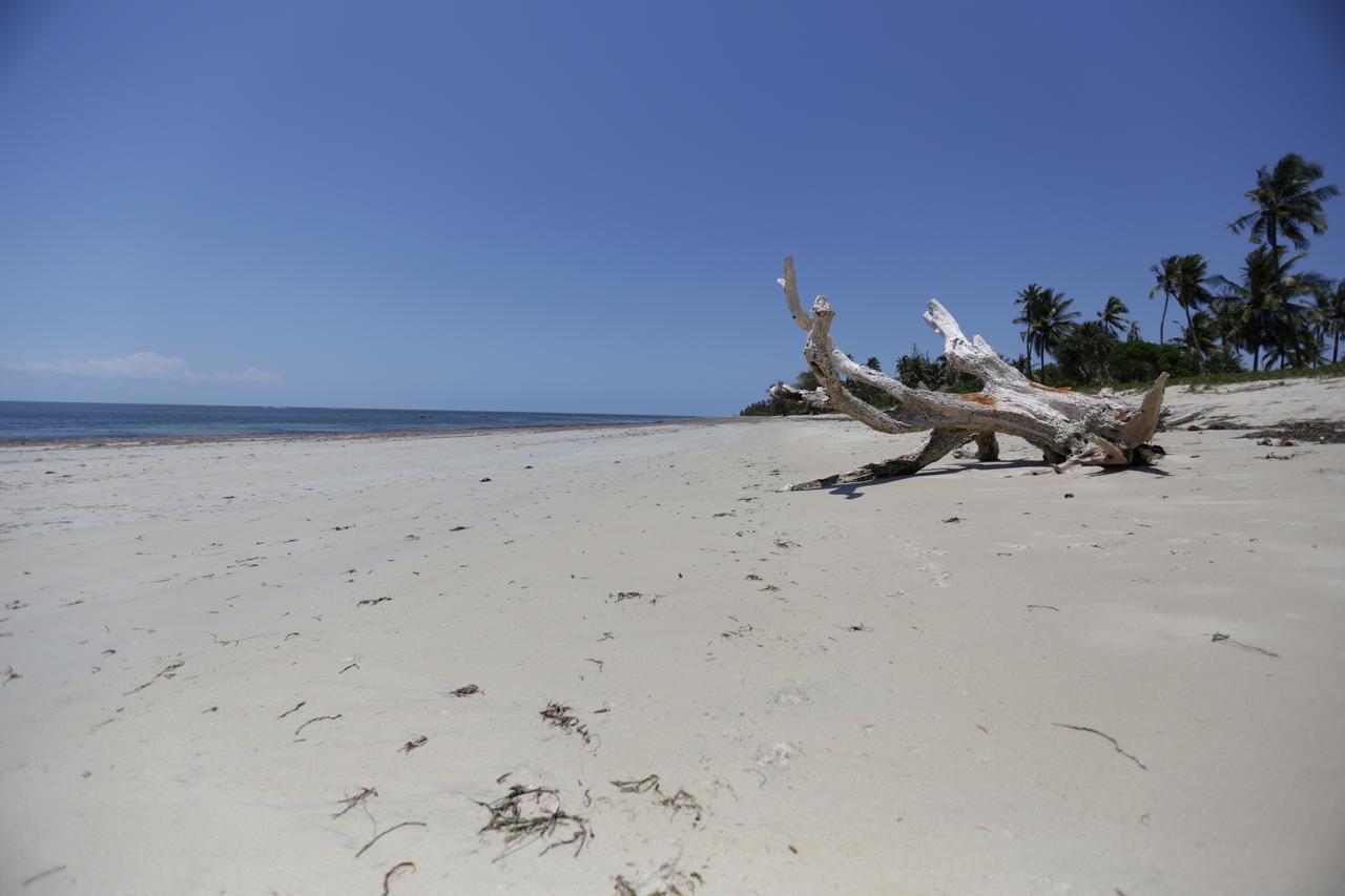 The Beach Crab Resort Pangani Extérieur photo